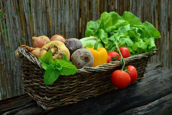 Les légumes de saison sont plus sains (Photo: Pixabay.com)