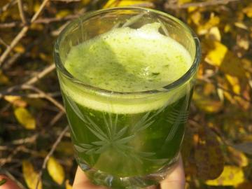 Medicinalest cocktail vert de Neumyvakina