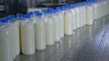 Ce qui fait vraiment le lait? Indique comment distinguer un faux