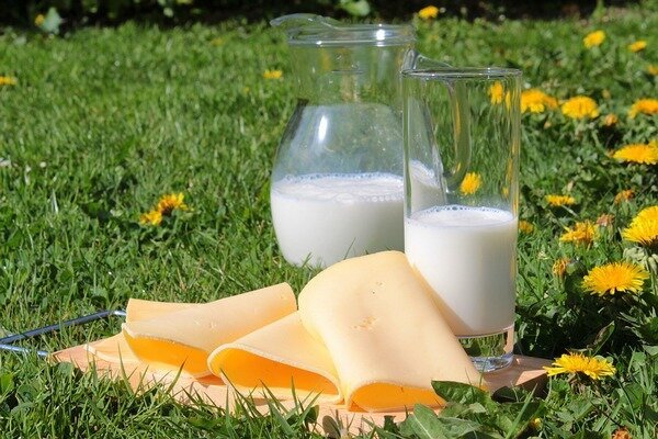 Les enfants sont mieux servis avec du lait et du fromage (Photo: Pixabay.com) 