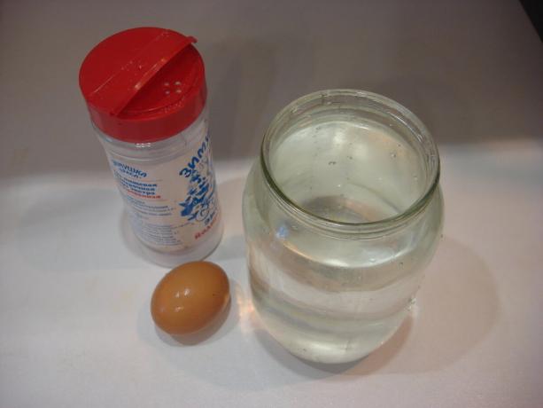 Photo de l'auteur (sel, un pot d'eau, œufs, faites défiler vers la droite)