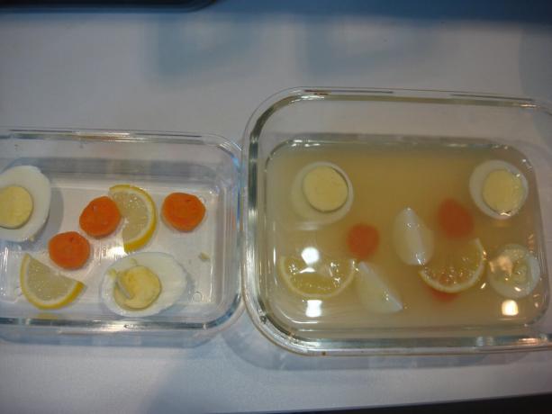 Photo prise par l'auteur (citron, œufs et affiché le carottes, le bouillon inondé) 