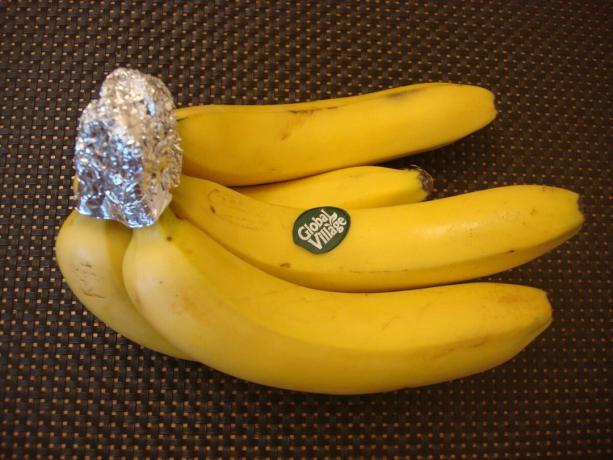 Photo prise par l'auteur (parce que les bananes peuvent être stockées plus longtemps)