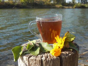 Un délicieux thé à base de plantes pour la santé et la vitalité