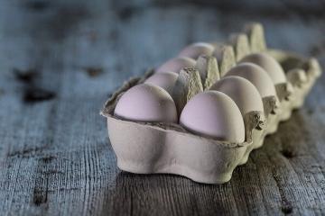 Les scientifiques ont expliqué pourquoi vous ne devriez pas manger beaucoup d'œufs