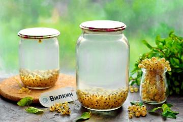 Compote de groseille blanche pour l'hiver