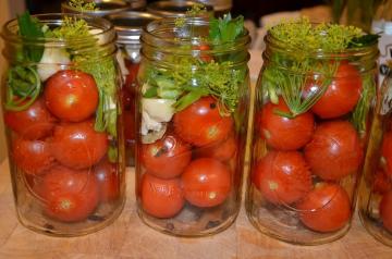 Tomates marinées « Zadonsk » pour l'hiver
