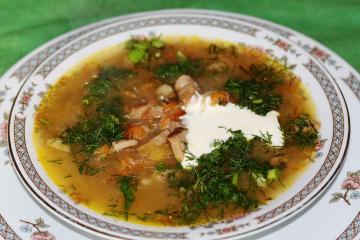 Soupe aux champignons avec la choucroute. La recette de ma grand-mère