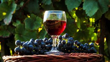 Ce qui est bon pour le vin rouge de la santé