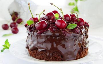 Gâteau au chocolat magnifique: 3 recettes