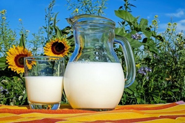 Mieux vaut acheter du lait de fermes privées (Photo: pixabay.com)