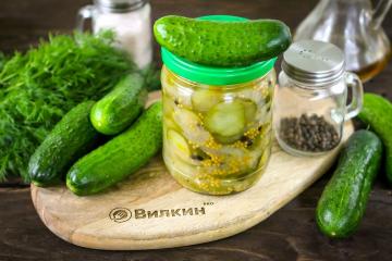 Salade de concombre en conserve pour l'hiver