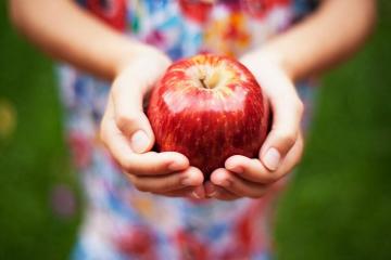Traiter les pommes: calculs rénaux, les varices, crise cardiaque, etc.
