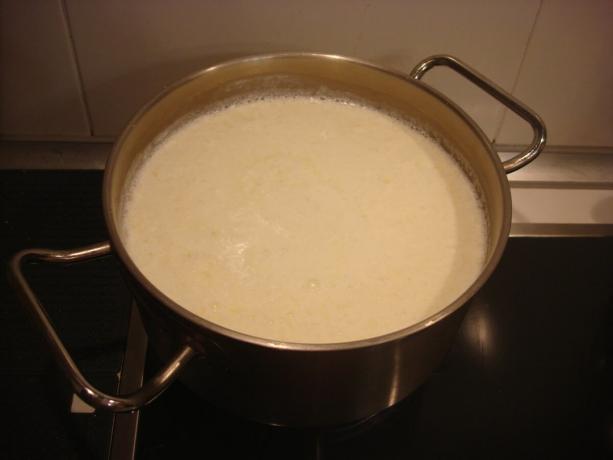 Photo prise par l'auteur (le lait et le yaourt dans le pot)