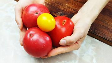 Comment je stocke les tomates tout l'hiver sans congélateur pour les garder fraîches en goût et en apparence