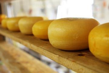 Interdictions de fromage: quelles variétés ne recommandent pas de manger des médecins