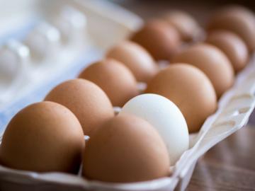 Comment vérifier: d'œuf frais ou gâté?
