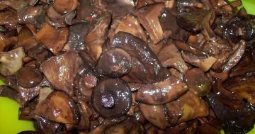 Comment les champignons marinés correctement et délicieux svinushki?